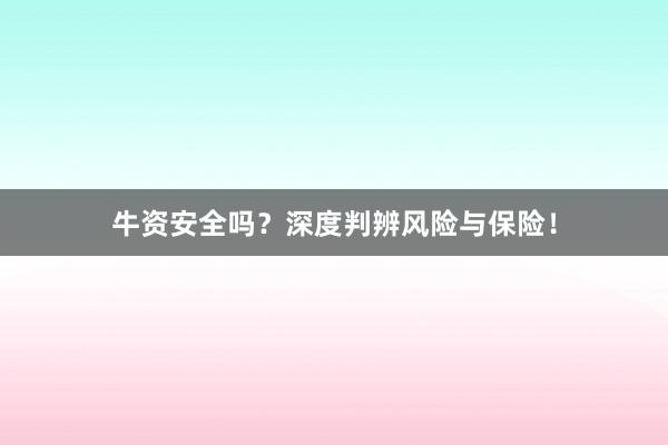牛资安全吗？深度判辨风险与保险！