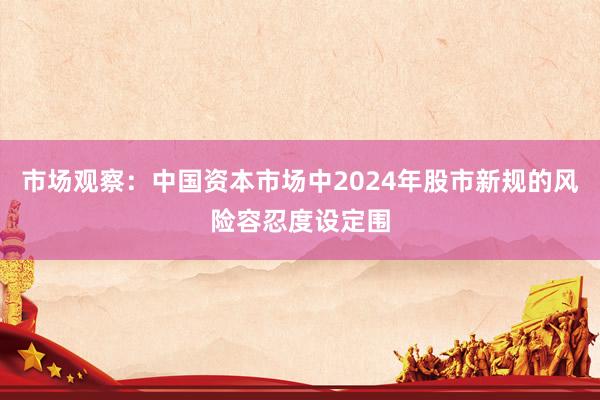 市场观察：中国资本市场中2024年股市新规的风险容忍度设定围
