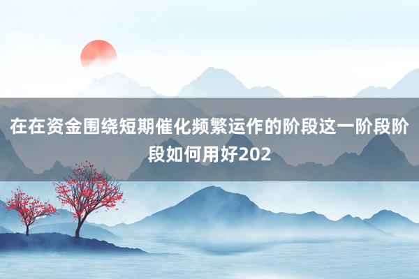 在在资金围绕短期催化频繁运作的阶段这一阶段阶段如何用好202