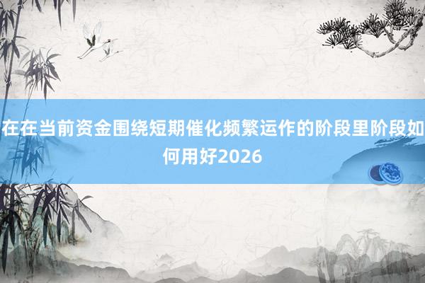 在在当前资金围绕短期催化频繁运作的阶段里阶段如何用好2026