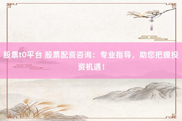 股票t0平台 股票配资咨询：专业指导，助您把握投资机遇！