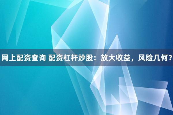 网上配资查询 配资杠杆炒股：放大收益，风险几何？