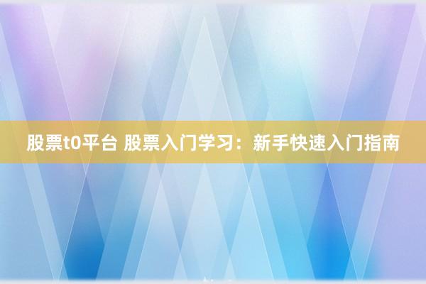 股票t0平台 股票入门学习：新手快速入门指南