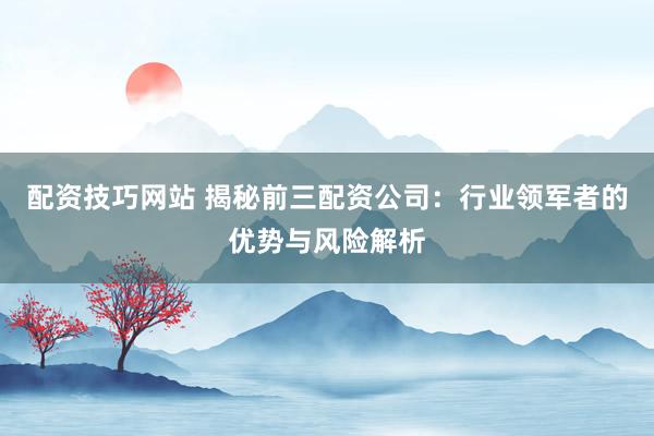 配资技巧网站 揭秘前三配资公司:行业领军者的优势与风险解析
